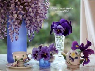 Cum am putea explica
   precognițiile?
 