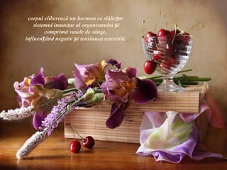 corpul eliberează un hormon ce slăbește
    sistemul imunitar al organismului și
         comprimă vasele de sânge,
influențând negativ și tensiunea arterială.
 