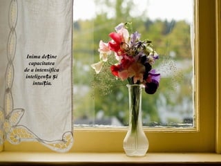 Inima deține
  capacitatea
de a intensifica
 inteligența și
    intuiția.
 