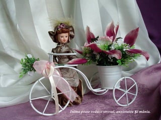 Inima poate reduce stresul, anxietatea și mânia.
 