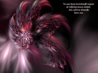 Ne-am lăsat înstrăinați treptat
   de înțelepciunea inimii.
     Am cultivat distanțe
           între noi.
 