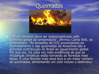 Queimadas O Brasil também deve ser responsabilizado pelo aumento global da temperatura”, afirmou Carlos Rittl, do Greenpeace. “As emissões de CO2 provenientes do desmatamento e das queimadas da Amazônia são a principal contribuição do Brasil ao aquecimento global. Por sua vez, há cada vez mais evidências de que as mudanças climáticas estão tornando as florestas mais secas. E uma floresta mais seca leva a um maior número de queimadas, alimentando um ciclo vicioso e destrutivo  