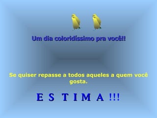 Um dia coloridíssimo pra você!!   Se quiser repasse a todos aqueles a quem você gosta. E S T I M A  !!! 