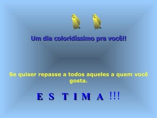 Um dia coloridíssimo pra você!!   Se quiser repasse a todos aqueles a quem você gosta. E S T I M A  !!! 