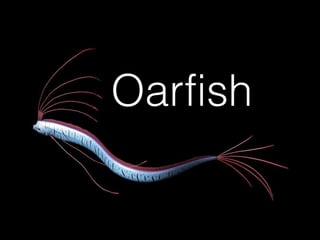 Oarfish

 