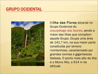 A  Ilha das Flores  situa-se no Grupo Ocidental do  arquipélago dos Açores , sendo a maior das ilhas que compõem aquele Grupo. Ocupa uma área de 141,7 km, na sua maior parte constituída por terreno montanhoso, caracterizado por grandes ravinas e gigantescas falésias. O ponto mais alto da ilha é o Morro Alto, a 914 m de altitude 