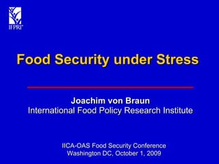 Food Security under Stress Joachim von Braun International Food Policy Research Institute IICA-OAS Food Security Conference Washington DC, October 1, 2009 