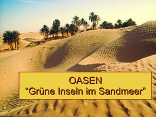 OASEN “Grüne Inseln im Sandmeer” 