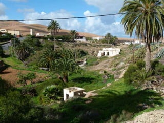 Oases
