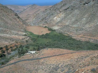 Oases