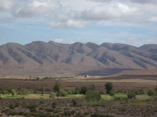 Oases