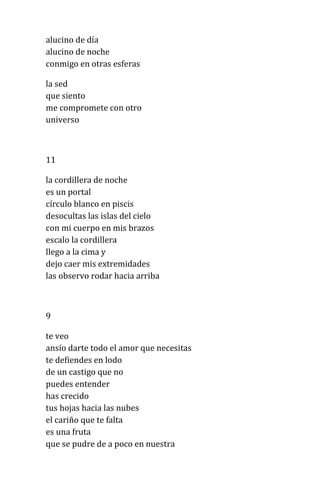 alucino de día
alucino de noche
conmigo en otras esferas
la sed
que siento
me compromete con otro
universo
11
la cordillera de noche
es un portal
círculo blanco en piscis
desocultas las islas del cielo
con mi cuerpo en mis brazos
escalo la cordillera
llego a la cima y
dejo caer mis extremidades
las observo rodar hacia arriba
9
te veo
ansío darte todo el amor que necesitas
te defiendes en lodo
de un castigo que no
puedes entender
has crecido
tus hojas hacia las nubes
el cariño que te falta
es una fruta
que se pudre de a poco en nuestra
 