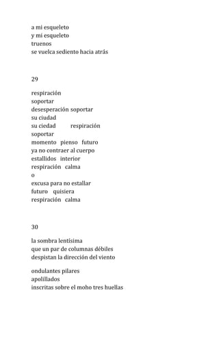 a mi esqueleto
y mi esqueleto
truenos
se vuelca sediento hacia atrás
29
respiración
soportar
desesperación soportar
su ciudad
su ciedad respiración
soportar
momento pienso futuro
ya no contraer al cuerpo
estallidos interior
respiración calma
o
excusa para no estallar
futuro quisiera
respiración calma
30
la sombra lentísima
que un par de columnas débiles
despistan la dirección del viento
ondulantes pilares
apolillados
inscritas sobre el moho tres huellas
 