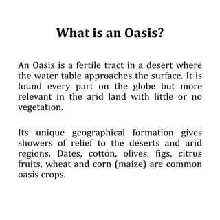 Oasis : définition et explications