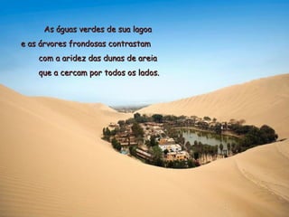 As águas verdes de sua lagoa
e as árvores frondosas contrastam
    com a aridez das dunas de areia
    que a cercam por todos os lados.
 