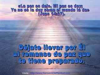 «La paz os dejo, Mi paz os doy;  Yo no os la doy como el mundo la da» (Juan 14:27).  Déjate llevar por Él  al remanso de paz que  te tiene preparado.  Visita:  http://www.RenuevoDePlenitud.com 