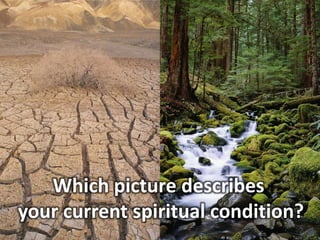 Which picture describes  your current spiritual condition? 