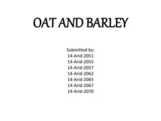 OAT AND BARLEY
Submitted by:
14-Arid-2051
14-Arid-2055
14-Arid-2057
14-Arid-2062
14-Arid-2065
14-Arid-2067
14-Arid-2070
 