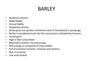 Oat and barley | PPTX