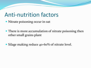Anti-nutrition factors
 Nitrate poisoning occur in oat
 There is more accumulation of nitrate pois0ning then
other small grains plant
 Silage making reduce 40-60% of nitrate level.
 