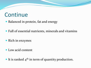 Continue
 Balanced in protein, fat and energy
 Full of essential nutrients, minerals and vitamins
 Rich in enzymes
 Low acid content
 It is ranked 4th in term of quantity production.
 