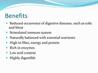 Benefits
 Reduced occurrence of digestive diseases, such as colic
and bloat
 Stimulated immune system
 Naturally balanced with essential nutrients
 High in fiber, energy and protein
 Rich in enzymes
 Low acid content
 Highly digestible
 