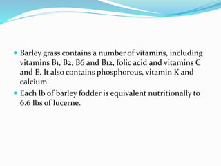  Barley grass contains a number of vitamins, including
vitamins B1, B2, B6 and B12, folic acid and vitamins C
and E. It also contains phosphorous, vitamin K and
calcium.
 Each lb of barley fodder is equivalent nutritionally to
6.6 lbs of lucerne.
 