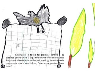 	Entretanto, o falcão foi procurar comida e os pássaros que estavam à vigia tiveram uma excelente ideia! Prepararam-lhe uma armadilha, colocando grãos numa rede que estava tapada com folhas. Quando ele pisou-a, ficou preso!