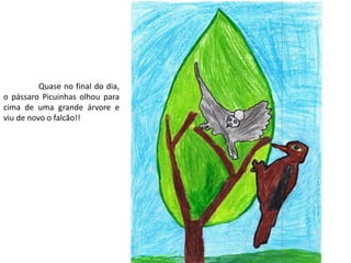 	Quase no final do dia, o pássaro Picuinhas olhou para cima de uma grande árvore e viu de novo o falcão!!