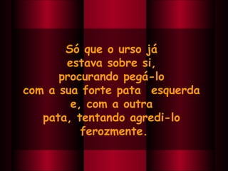 Só que o urso já  estava sobre si,  procurando pegá-lo  com a sua forte pata  esquerda  e, com a outra  pata, tentando agredi-lo  ferozmente. 