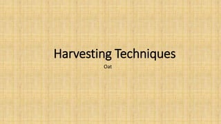 Harvesting Techniques
Oat
 