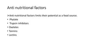 Anti nutritional factors
Anti-nutritional factors limits their potential as a food source.
• Phytate
• Trypsin inhibitors
• Oxalates
• Tannins
• Lectins
 