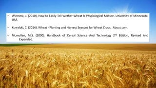 • Wiersma, J. (2010). How to Easily Tell Wether Wheat Is Physiological Mature. University of Minnesota,
USA.
• Kowalski, C. (2014). Wheat - Planting and Harvest Seasons for Wheat Crops. About.com.
• Mcmullen, M.S. (2000). Handbook of Cereal Science And Technology 2nd Edition, Revised And
Expanded.
 