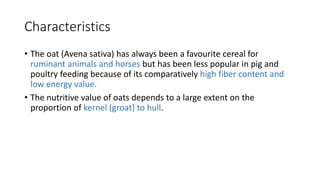 Characteristics
• The oat (Avena sativa) has always been a favourite cereal for
ruminant animals and horses but has been less popular in pig and
poultry feeding because of its comparatively high fiber content and
low energy value.
• The nutritive value of oats depends to a large extent on the
proportion of kernel (groat) to hull.
 