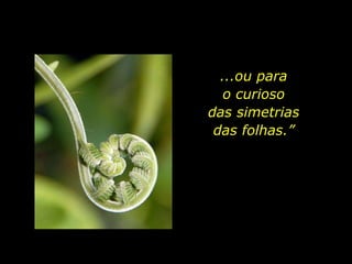 ...ou para
o curioso
das simetrias
das folhas.”
 