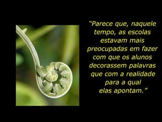 “Parece que, naquele
tempo, as escolas
estavam mais
preocupadas em fazer
com que os alunos
decorassem palavras
que com a realidade
para a qual
elas apontam.”
 