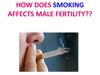 HOW DOES SMOKING 
AFFECTS MALE FERTILITY?? 
 