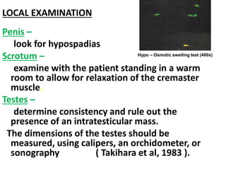 LOCAL EXAMINATION 
Penis – 
look for hypospadias 
Scrotum – 
Hypo – Osmotic swelling test (400x) 
examine with the patient standing in a warm 
room to allow for relaxation of the cremaster 
muscle. 
Testes – 
determine consistency and rule out the 
presence of an intratesticular mass. 
The dimensions of the testes should be 
measured, using calipers, an orchidometer, or 
sonography ( Takihara et al, 1983 ). 
 