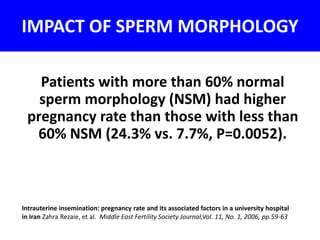IMPACT OF SPERM MORPHOLOGY 
Patients with more than 60% normal 
sperm morphology (NSM) had higher 
pregnancy rate than those with less than 
60% NSM (24.3% vs. 7.7%, P=0.0052). 
Intrauterine insemination: pregnancy rate and its associated factors in a university hospital 
in Iran Zahra Rezaie, et al. Middle East Fertility Society Journal,Vol. 11, No. 1, 2006, pp.59-63 
 