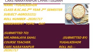 CARS NARAYANPUR CHHATTISGARH
NAME –YUGALKISHOR
CLASS-B.SC.AG.2ND YEAR 2ND SEMESTER
SUBJECT-AGRO(5221)
ROLL NUMBER –20201717
ASSIGNMENT TOPIC - OAT
(SUBMITTED TO)
MR.HIMALAYA SAHU. (SUBMITTED BY)
COURSE TEACHER. YUGALKISHOR
CARS NARAYANPUR ROLL NO.--
20201717
 
