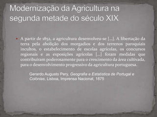 	Estas transformações e progressos não foram o suficientes para modernizar a agricultura, pois esta continuava a não satisfazer as necessidades do país.	Estas transformações não contribuíram para que em Portugal se iniciasse uma verdadeira Revolução Agrícola, tal como aconteceu em alguns países. 	Mas na segunda metade do século XIX a agricultura em Portugal consegue modernizar-se.