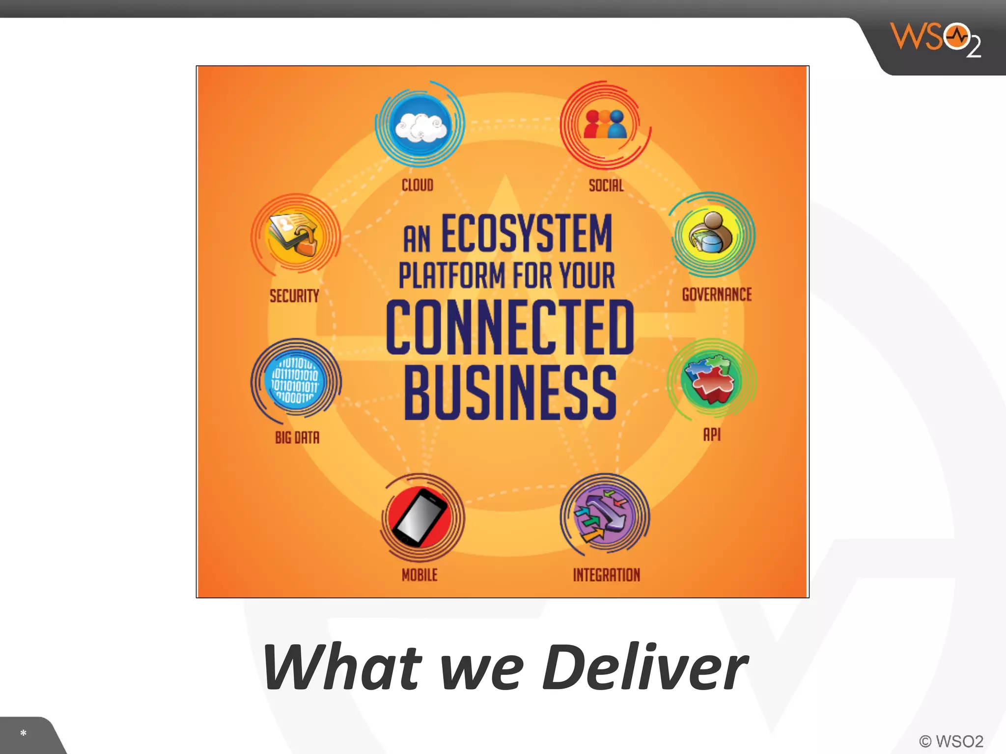 What	
  we	
  Deliver	
  
*	
  

 