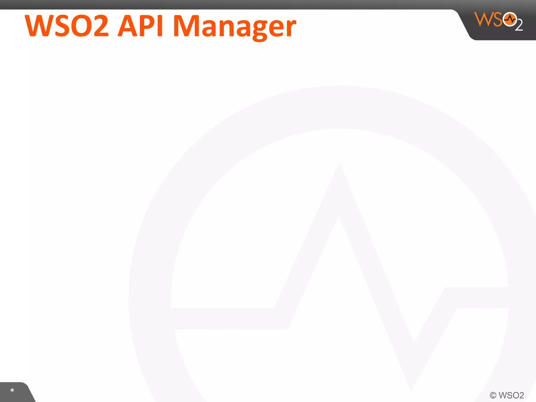 WSO2	
  API	
  Manager	
  

*	
  

 