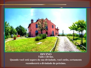 DIVINO Tudo é divino. Quando você está seguro da sua divindade, você então, certamente reconhecerá a divindade do próximo . 