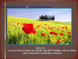 PRECES As preces devem emanar do coração, onde DEUS habita, e não na cabeça, onde as doutrinas e as dúvidas se chocam. 