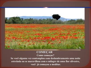 COMEÇAR Como começar? Se você alguma vez contemplou com deslumbramento uma noite estrelada ou se maravilhou com o milagre de uma flor silvestre, você  já começou a meditar. 