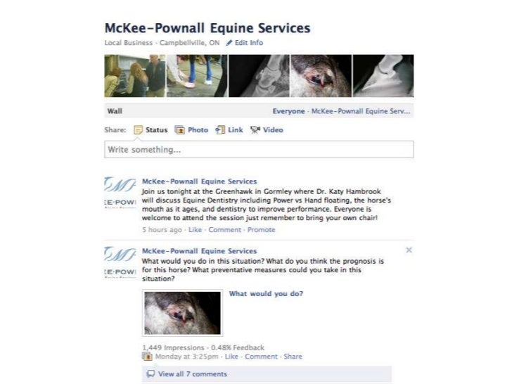 Opportunities in Equine Veterinary Practice for Technicians