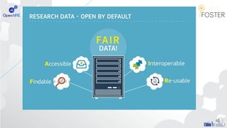 Basics of Research Data Management | PDF