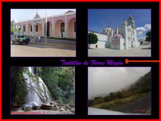 Teotitlàn de Flores Magòn E 