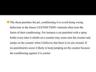 ◼The shout punishes the pet ,conditioning it to avoid doing wrong
behaviour in the future.3.EXTINCTION:-Animals often tests the
limits of their conditioning. For instance a cat punished with a spray
bottle every time it climbs on a counter may come near the counter and
jumps on the counter when it believes that there is no one around .If
no punishments occur it likely to keep jumping on the counter because
the conditioning against it is extinct
 